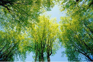 打宝爆装游戏《破坏领主》主机版发售预告